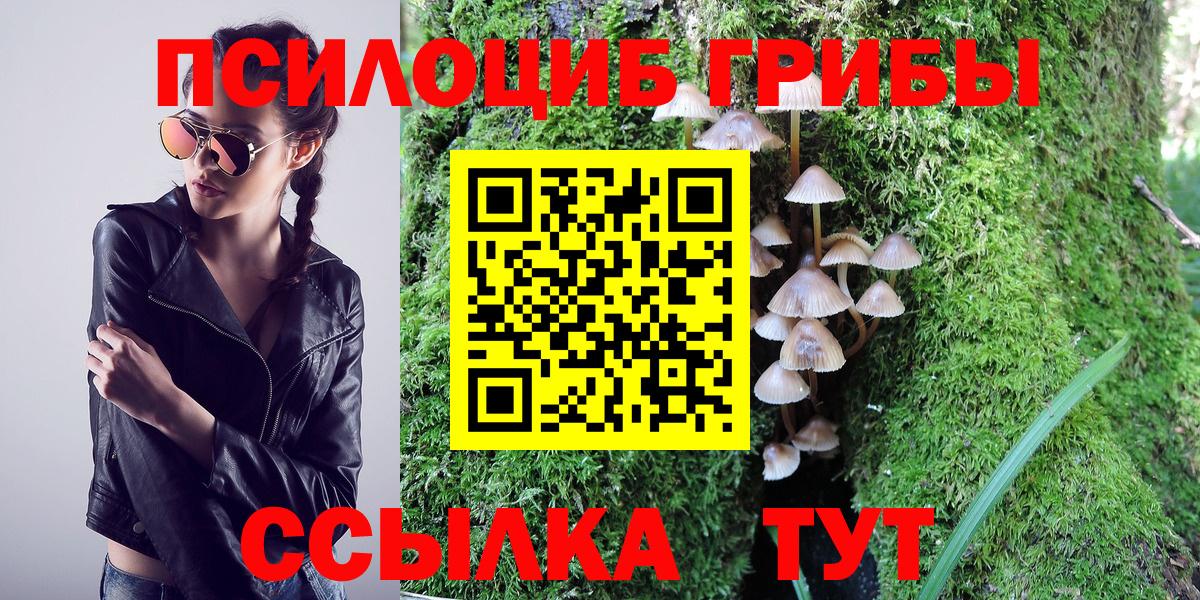 Галлюциногенные грибы прущие грибы  Псилоцибиновые грибы Magic Shrooms  Вход с VPN  Клин 
